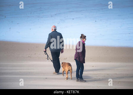 Hundespaziergängen - Hundespaziergänger am Fistral Beach in Newquay Cornwall. Stockfoto