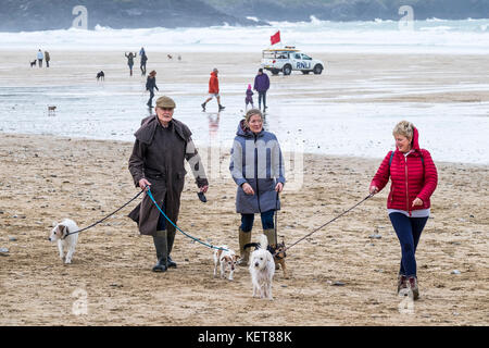 Hundespaziergängen - Hundespaziergänger und ihre Hunde am Fistral Beach Newquay. Stockfoto