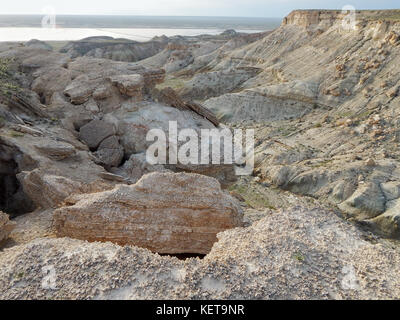 Steppe Felsen. Pol. trockene Landschaft. Kasachstan. Mangistau Region. Stockfoto