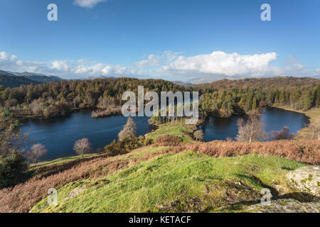 Einen schönen Herbsttag am Tarn Hows Stockfoto