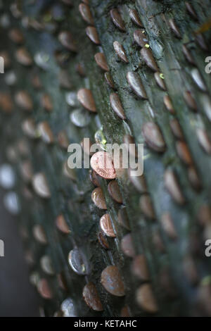 Pennies in einem Protokoll Stockfoto