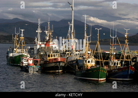 Eine Flotte von Fischtrawlern in ullapool Hafen am Loch Broom in Wester Ross festgemacht, Nordostschottland, Großbritannien Stockfoto