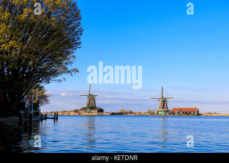 Typischen Windmühlen im blauen Wasser des Flusses Zaan im Frühjahr zaanse schans North Holland Niederlande Europa Stockfoto