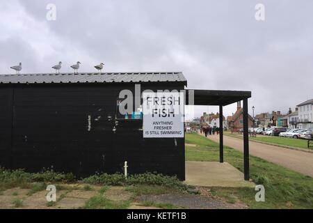 Fischerhütte mit der Nachricht „frischer Fisch“ - alles, was frischer ist, schwimmt immer noch. Am Strand von Aldeburgh, Suffolk. Stockfoto