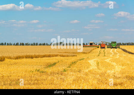 Landwirtschaftliche Maschinen entfernt Getreideernte auf Feld. Russland Stockfoto