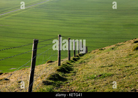 Ein stacheldrahtzaun Absteigend steil auf Chalk downland in Wiltshire. Stockfoto