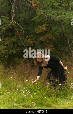 Rothaarige Mädchen in einem schwarzen Kleid sammelt Kräuter am Rande des Waldes Stockfoto