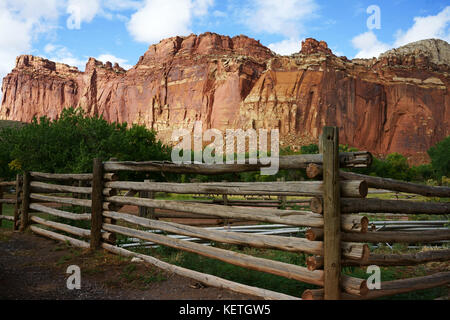 Bäume andwooden Zaun mit roter Berg an Fruita, Capitol Reef National Park, Utah, USA Stockfoto