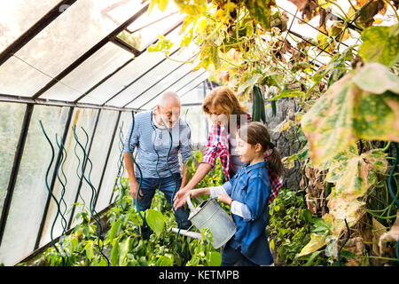 Senior Paar mit Enkelin und Gärtnern im Garten im Hinterhof Stockfoto