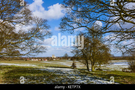 Der Westwood offene Weide von kahlen Bäumen und Blick auf das Münster am Horizont und Schnee über Gras im Winter, Beverley, Yorkshire, Großbritannien. Stockfoto