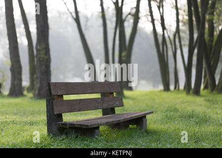 Green City Park am nebligen Morgen Stockfoto