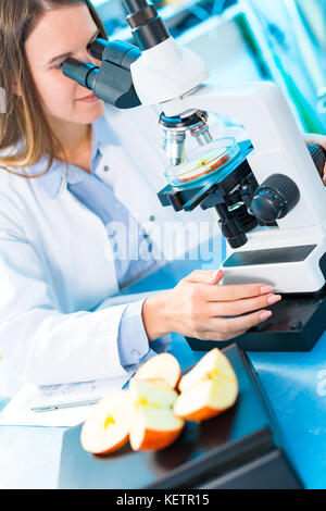 Kontrolle Obst und Gemüse für schädlichen Elementen. labor für die Überprüfung der Qualität von Lebensmitteln Stockfoto