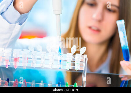Stammzellforschung für die Behandlung von Krebs Stockfoto