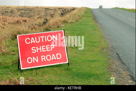 Vorsicht Schafe auf der Straße und neben einem Moorland Road. Stockfoto