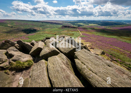 Blick von higger Tor in Richtung Carl wark in der Nationalpark Peak District, Derbyshire. Heidekraut blüht auf der Heide. Stockfoto