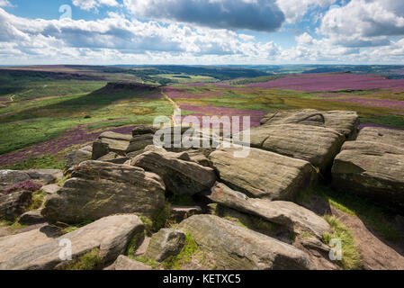 Blick vom Higger Tor in Richtung Carl Wark im Peak District Nationalpark, Derbyshire. Heidekraut blüht auf den Mooren. Stockfoto