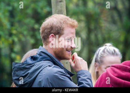 Preston, Lancashire, UK. 23 Okt, 2017. Prinz Harry chats für junge Menschen, die in der Erhaltung und Bush handwerkliche Tätigkeiten wie er zahlt einen Besuch 'Myplace' an Brockholes Nature Reserve. Ziel ist es, junge Menschen durch sie dazu ermutigt werden, an Aktivitäten teilzunehmen, für Wildlife und Ihr eigenes Wohlbefinden zu verbessern zu ermächtigen. Credit: cernan Elias/Alamy leben Nachrichten Stockfoto