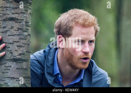 Preston, Lancashire, UK. 23 Okt, 2017. Prinz Harry chats für junge Menschen, die in der Erhaltung und Bush handwerkliche Tätigkeiten wie er zahlt einen Besuch 'Myplace' an Brockholes Nature Reserve. Ziel ist es, junge Menschen durch sie dazu ermutigt werden, an Aktivitäten teilzunehmen, für Wildlife und Ihr eigenes Wohlbefinden zu verbessern zu ermächtigen. Credit: cernan Elias/Alamy leben Nachrichten Stockfoto