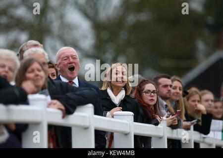 Plumpton, UK. 23 Okt, 2017. Rennen goers beobachten die Ian David Ltd und Canisbay Bloodstock Novizen "Handicap Chase at Plumpton Racecourse. Credit: James Boardman/Alamy leben Nachrichten Stockfoto