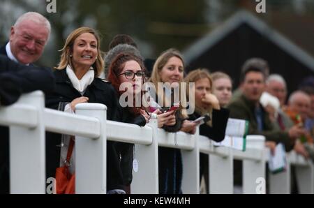 Plumpton, UK. 23 Okt, 2017. Rennen goers beobachten die Ian David Ltd und Canisbay Bloodstock Novizen "Handicap Chase at Plumpton Racecourse. Credit: James Boardman/Alamy leben Nachrichten Stockfoto