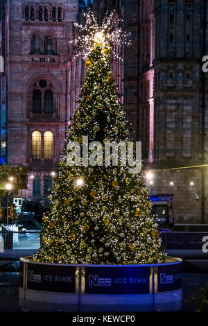 London, Großbritannien. 23 Okt, 2017. Der Weihnachtsbaum am Natural History Museum Ice Rink erhält einen Probelauf, während die Eisbahn ungefroren Wasser ist. Credit: Guy Bell/Alamy leben Nachrichten Stockfoto