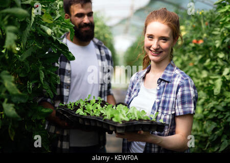 Bild von Paar Landwirte Sämling Sprößlinge in den Garten Stockfoto