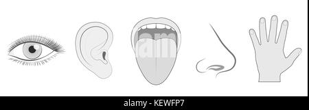 Fünf Sinnen - Sehen, Hören, Schmecken, Riechen und Berühren - Schematische isoliert Vektor icon Abbildung von Auge, Ohr, Nase, Zunge und Hand. Stockfoto