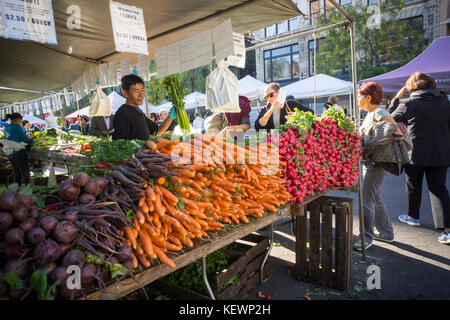 Bauern verkaufen ihre Produkte im Union Square Greenmarket in New York am Mittwoch, 18. Oktober 2017. (© Richard b. Levine) Stockfoto