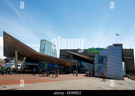 New England Aquarium, Boston, Massachusetts, Vereinigte Staaten von Amerika Stockfoto