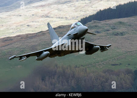 Royal Air Force Eurofighter Typhoon FGR 4 (ZK 304) fliegt Niedrig durch die Mach Loop, Machynlleth, Wales, Vereinigtes Königreich Stockfoto