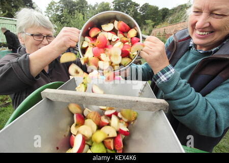 Äpfel überlappend in einer Presse zu Saft von Freiwilligen in einer Gemeinschaft Apple Tag Feier in einem englischen Orchard an einem strahlenden Herbsttag, UK. Stockfoto