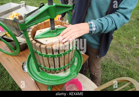 Frisch geerntete Äpfel Saft von einer freiwilligen zu einer Gemeinschaft Apple Tag Feier in einem englischen Orchard an einem strahlenden Herbsttag gedrückt werden, Großbritannien Stockfoto