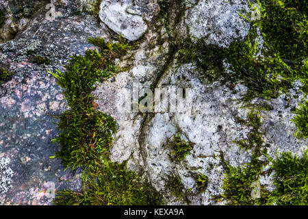Strukturierte alte Granitwand: Ein natürlicher abstrakter Hintergrund. Granitstein-Textur, Nahbild, Tapete und Textur für das Rendern geeignet Stockfoto