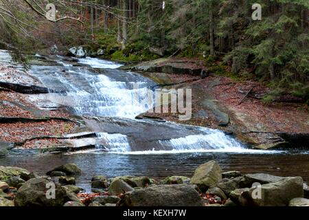 Herbst Blick auf den mumlava Fluß. Nationalpark Riesengebirge in der Tschechischen Republik. Wasserfall auf dem Fluss Stockfoto