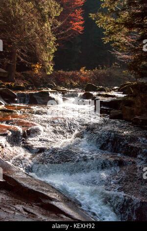 Herbst Blick auf den mumlava Fluß. Nationalpark Riesengebirge in der Tschechischen Republik. Wasserfall auf dem Fluss Stockfoto