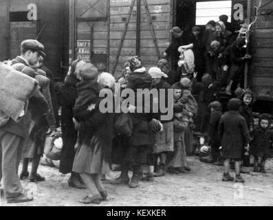 Dieses historische Bild zeigt jüdische Deportierte, die im Konzentrationslager Birkenau ankommen und einen bedeutenden Moment in der Geschichte des Zweiten Weltkriegs und des Holocaust hervorheben. Stockfoto