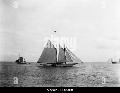 AJAXNETPHOTO. 1900 S (ca.). SOLENT, England. - Schoneryacht IN DEN SOLENT. Fotograf: unbekannt © DIGITAL IMAGE COPYRIGHT AJAX VINTAGE BILDARCHIV QUELLE: AJAX VINTAGE BILDARCHIV SAMMLUNG REF: AVL YAB 1900 5 Stockfoto