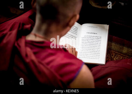 Über die Schulter Blick auf junge Mönch im Kloster chanten aus dem Gebetsbuch, Boudhanath Tempel, Kathmandu, Nepal Stockfoto