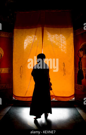 Silhouette der junge Mönch aus Kloster in Boudhanath Tempel, Kathmandu, Nepal Stockfoto