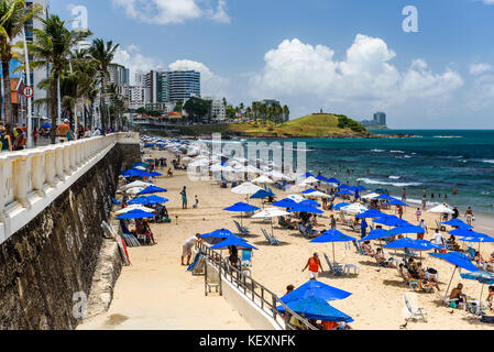 Überfüllter tropischer Strand Praia Farol da Barra in Salvador, Bundesstaat Bahia, Brasilien Stockfoto