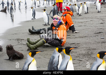 Königspinguine auf Salisbury Plain, Südgeorgien, mit Passagieren von einer Expedition Kreuzfahrt. Stockfoto