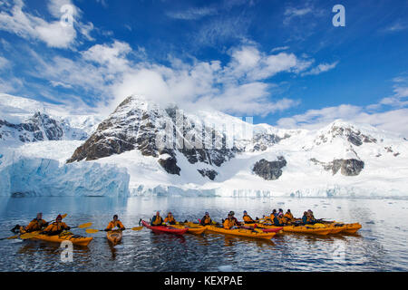 Die Mitglieder der Expedition in die Antarktis Kreuzfahrt Sea Kayaking in Paradise Bay unter dem Berg Walker auf der Antarktischen Halbinsel. Der antarktischen Halbinsel ist eine der am schnellsten Erwärmung Bereiche auf dem Planeten. Stockfoto