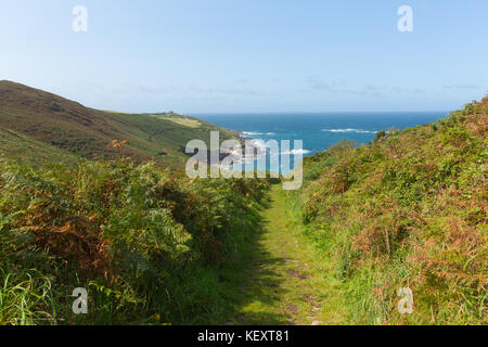 Südwestlicher Küstenweg in Richtung Portheras Cove Cornwall, südwestlich von St Ives Stockfoto