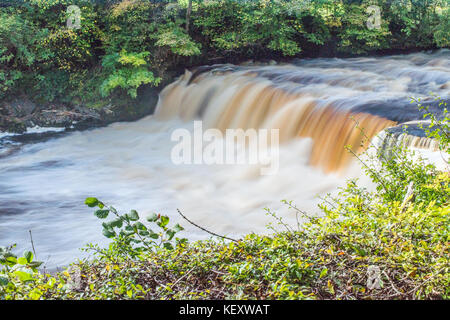 Aysgarth Mitte fällt Stockfoto