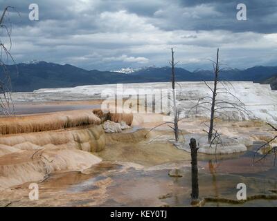 Mammoth Hot Springs, Yellowstone-Nationalpark, Wyoming Stockfoto