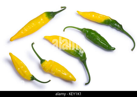 Aji pineapple Paprika (Capsicum baccatum). Beschneidungspfade, Schatten getrennt, Ansicht von oben Stockfoto