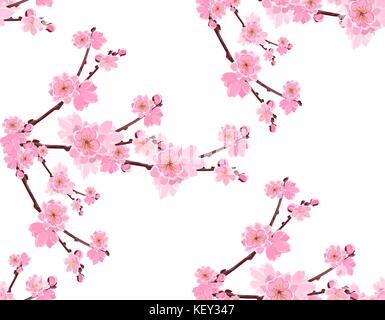Sakura. Zweig mit sanften Blumen und üppiger cherry Knospen. nahtlos und ohne ein Gitter und Gradient. Abbildung Stock Vektor