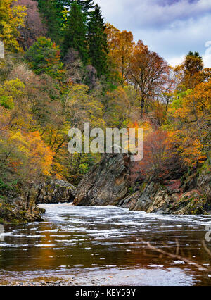 Spektakuläre Herbstfarben in natürlichen Wäldern am Ufer des Flusses Garry am historischen Pass von Killiecrankie bei Soldier's Leap in der Nähe von Pitlochry. Stockfoto