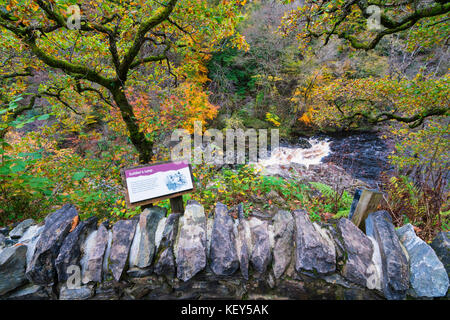 Spektakuläre Herbstfarben in natürlichen Wäldern am Ufer des Flusses Garry am historischen Pass von Killiecrankie bei Soldier's Leap in der Nähe von Pitlochry. Stockfoto