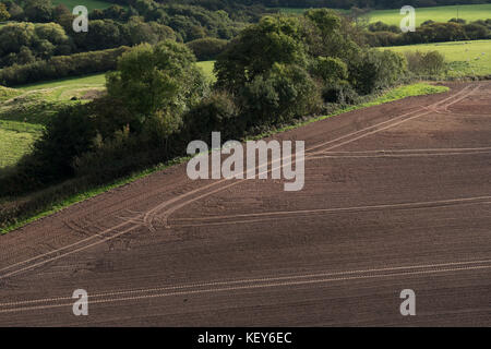 Felder der Umgebung Corfe Castle, Dorset. Stockfoto